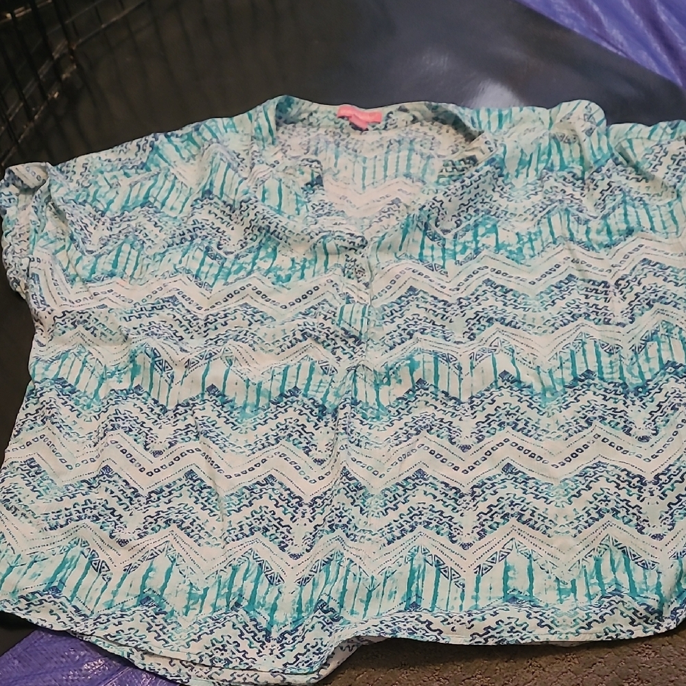 Woman Within Teal and White Blouse